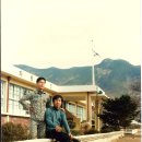 안법초등학교 이미지