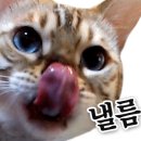 하이맥스 플레이 이미지