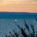 생명의 바다 1.1 이미지