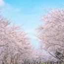 공설운동장길(공설운동장) 이미지