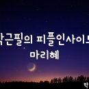 피플인사이트