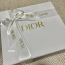 디올(DIOR) 30몽테인백 오블리크 자카드 프로포즈백 후기 (+이너백&amp;착샷)