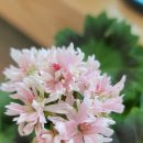 (주)엠알케어 이미지