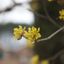 주천도서관 이미지