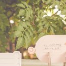 이니스프리제주 - 제주시 광양14길 3 | 이니스프리제주