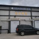 탐라메밀