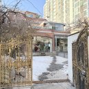 원미초 | 역 카페 카페동네 심곡점, 고양이와 거대 곰인형이 있는 주택 개조 감성 카페 ‘부천 데이트 코스’ 후기