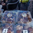 옹진구청 앞1 이미지