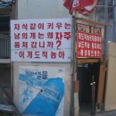 멍멍멍 이미지