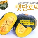 해남촌 이미지