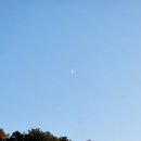 보리수농장 이미지