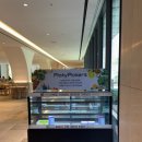 삼성 웰스토리 이미지