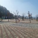 청주시, 오창미래지농촌테마공원 캠핑장 2월 개장 이미지
