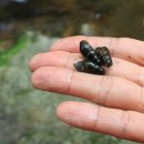 태안사계곡 이미지