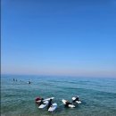 포이푸 | 🌊 강릉서핑 제대로 배우는 곳, 포이푸서프 후기 🏄‍♂️✨