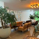 리버레인 이미지