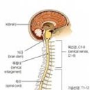 설명한의원 병점 이미지