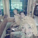 건율원 이미지