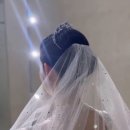 블랑쉬헤어 네이버블로그