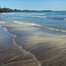 삼양해수욕장 이미지