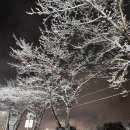 이산포충전소 이미지