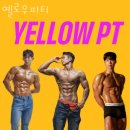 옐로우피티 이미지