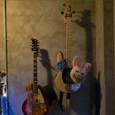 타파스토끼 이미지