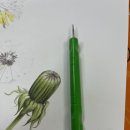 민들레수예점 이미지