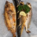 삼천포 | 일산 생선구이 애니골 맛집 그리운삼천포 후기