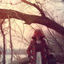 the 러블리 이미지