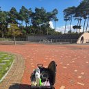 율하체육공원 생태연못 | &lt;대구&gt;율하체육공원 대구동구가볼만한곳 금호강생태전망대 대구억새군락지