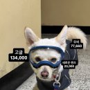 위드미도그 이미지