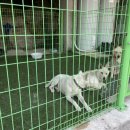 별과 달 이야기 펜션2 이미지