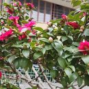 서대신역 이미지