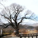 덕산초교 옆 이미지