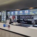 메밀꽃일다 이미지