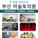 미슬토부산센터