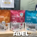 아델 동물병원 이미지