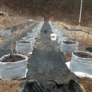 상부농장 이미지