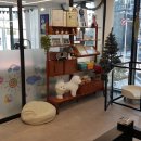 보미 펫 살롱 이미지