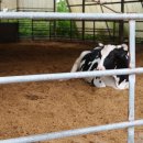 숙이목장 이미지