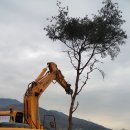 소나무회관 이미지