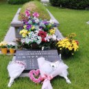 사기점골 이미지