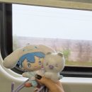 망고상상 - 18728 | 대전 성심당 본점 망고시루 후기｜엄마와 함께 다녀온 당일치기 성심당 투어