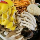 자연을담은 밥상 | 6시내고향 포천 버섯한우샤브샤브 맛집(밥상에 버섯이 피었습니다)