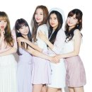 RAY(레이) 네이버블로그
