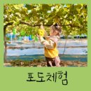 베데스다농장 이미지