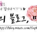 누나홀닭가평점