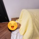 (김포 다이어트) 김포 운양동 전신관리 피그맘다이어트 체지방감량 후기