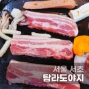 놀고먹는도야지 | 교대역 삼겹살 맛집 탐라도야지｜언제나 북적이는 고깃집